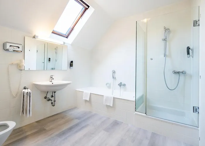 호텔 마리아힐프 3*